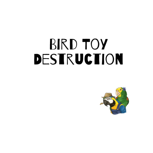 Bird Toy Destruction! It's a GOOD thing!