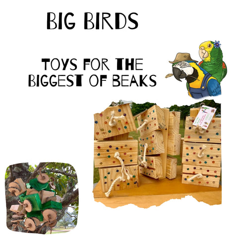 Large Birds