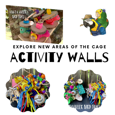 Activity Walls