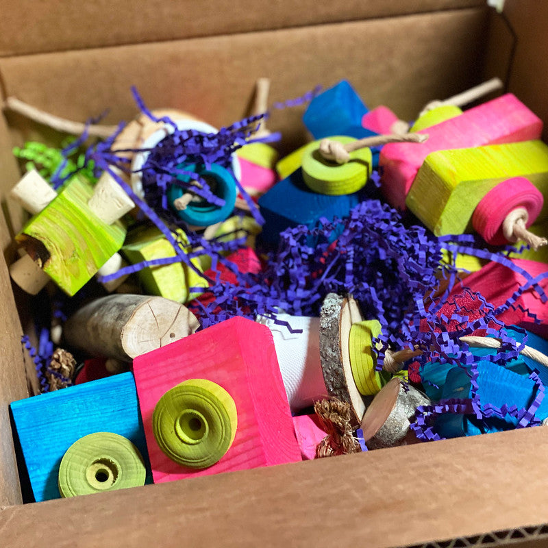 Mystery Box Bird Toys