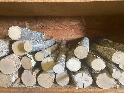 Macaw Natural Perches | Thick Perches for Macaws and Cockatoos