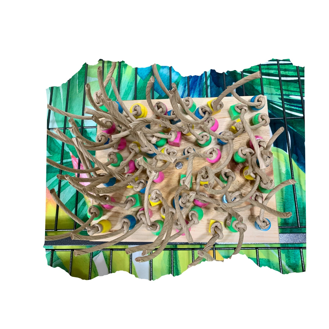 Preening Wall Bird Toy | Great For Pluckers and Overpreeners