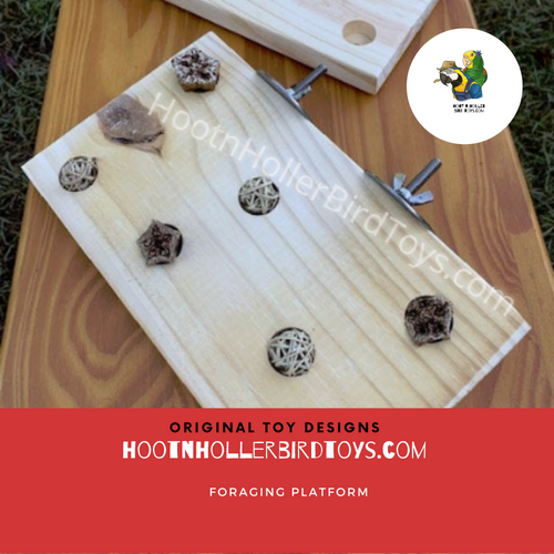 Foraging Platform Perch | Choose Your Size