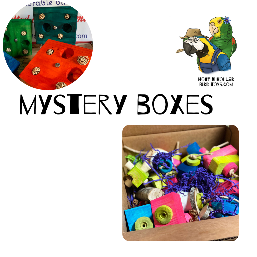 Mystery Box Bird Toys
