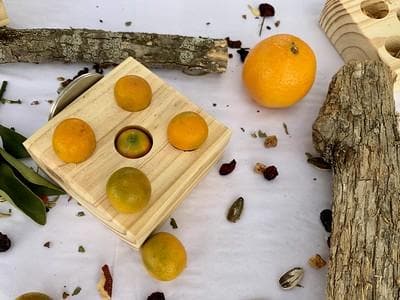 Natural Snack Table | Best Selling Foraging Bird Toy