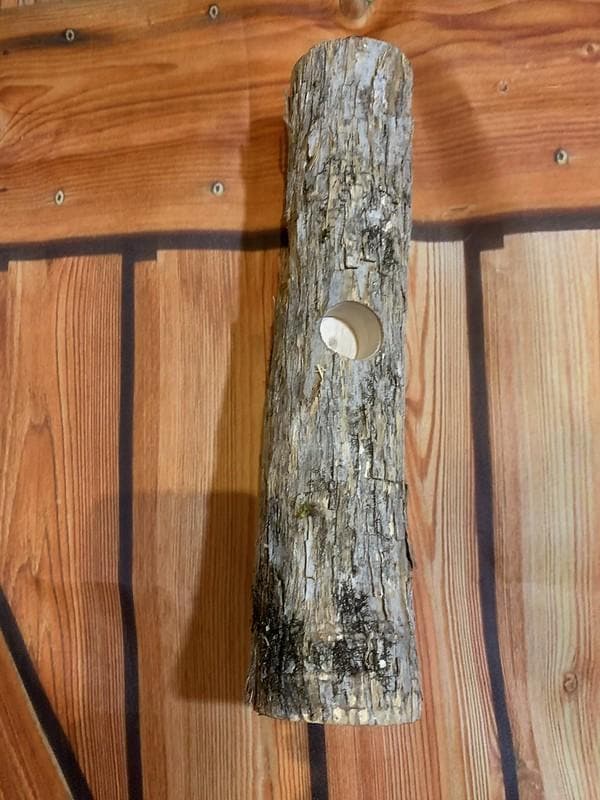 Hide-A-Nut Log | Natural Parrot Foraging Toy