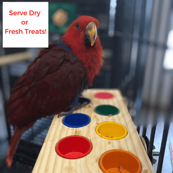 `Buffetbord' | Parrot Foraging Feeder Toy | Forager Bird Toy